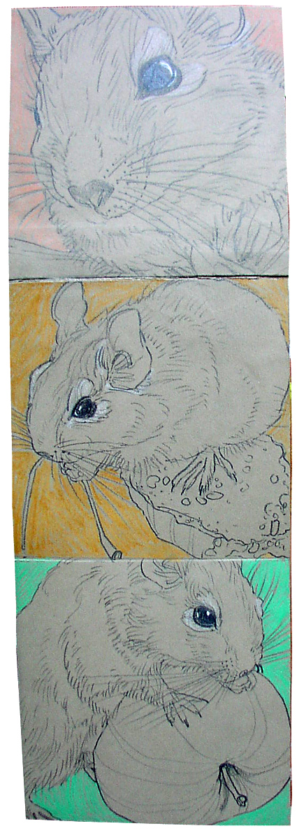 Osmák Degu a jídlo